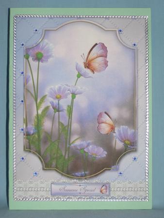 Butterfly Bliss by Susan Smith