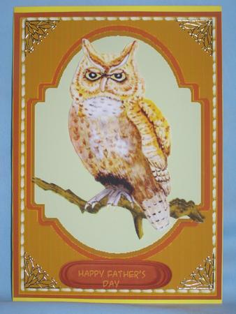 Lovely Tawney Owl on a Branch by Susan Smith