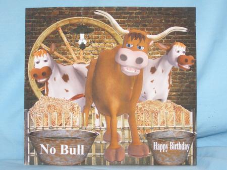 No Bull Card Topper & Decoupage by Susan Smith