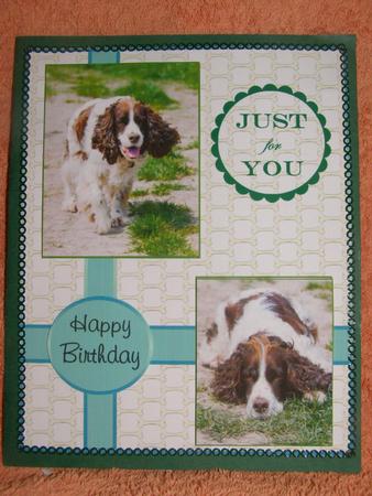 A Couple of Springer Spaniels by Susan Smith