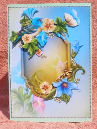 The Winged Friends and Suculent Flowers by Susan Smith