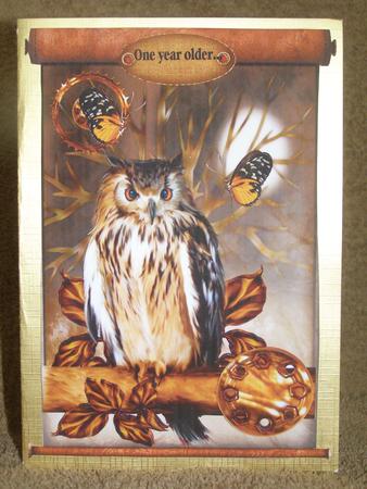 Male Wise Owl Steampunk Card by Susan Smith
