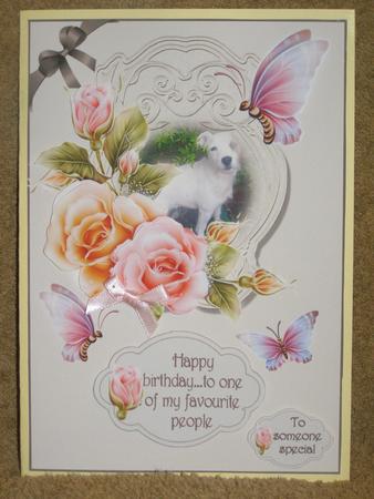Pets and Petals by Susan Smith