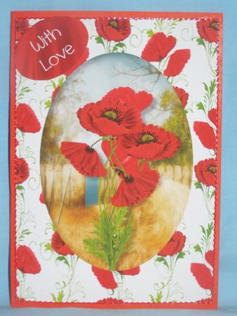 Fabulous Scarlet Poppies by Susan Smith