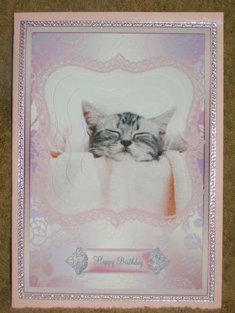 Cutest Sleeping Kitten Pyramid Card Front by Susan Smith