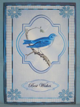 Beautiful Bleu Bird by Susan Smith