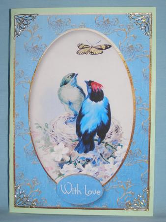 Beautiful Vintage Birds & Butterfly by Susan Smith