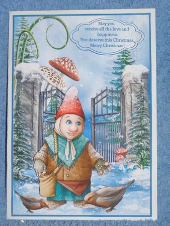 Feed the Birds by Susan Smith