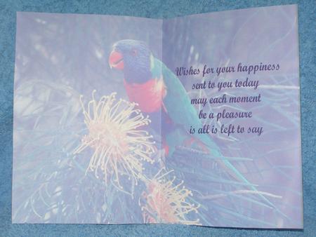 Insert with Verse for Most Occasions by Susan Smith
