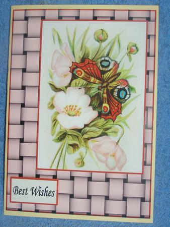 Wild Rose by Susan Smith