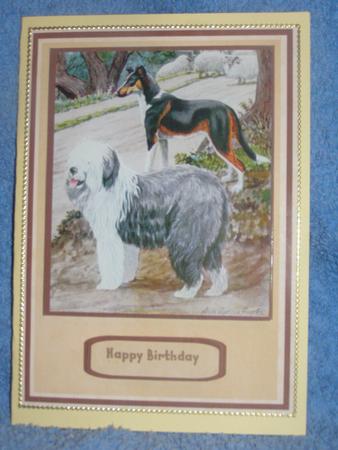 Beautiful Old English Sheep Dog ( Dulex ) by Susan Smith