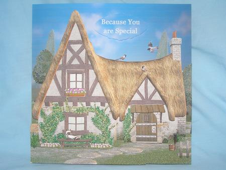 Dream Cottage 8x8 Decoupage Kit by Susan Smith