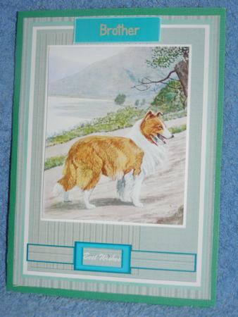 Beautiful Sheep Dog ( Lassie ) by Susan Smith