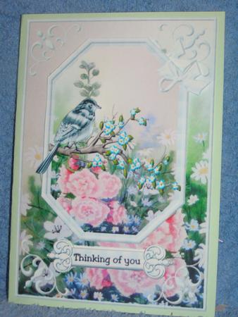 In the Garden - birthday& Thinking of You by Susan Smith