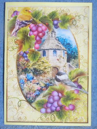 Birds & Grapes at the Dovecote by Susan Smith