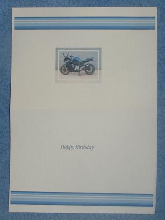 Biker Mad Landscape Insert by Susan Smith