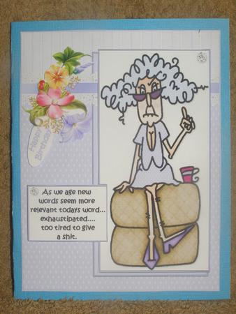 Stella Has a New Word Quick Card by Susan Smith