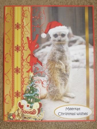 Meerkat Christmas by Susan Smith