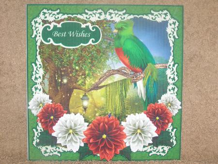Nature's Call - Enchanted Quetzal by Susan Smith