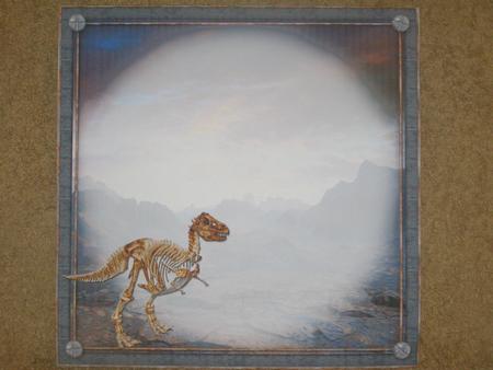 You Don't Look a Day Over 40 Blank Insert by Susan Smith