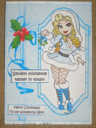 Merry Christmas Wife/partner by Susan Smith