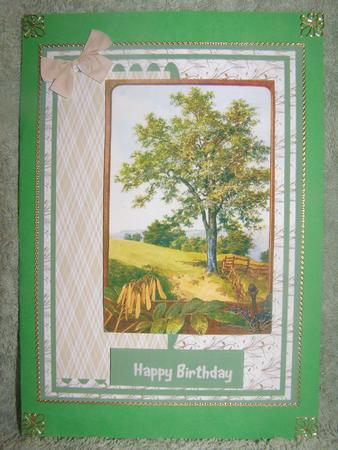 Lovely Country Trees Scene  by Susan Smith