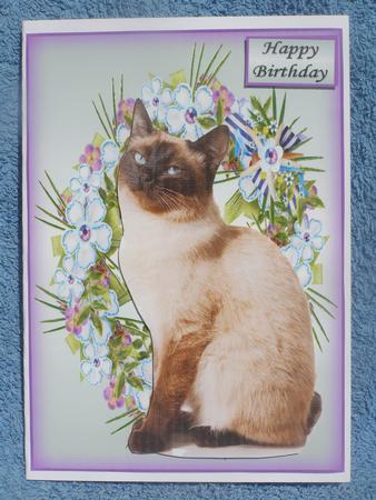 Love My Cat by Susan Smith