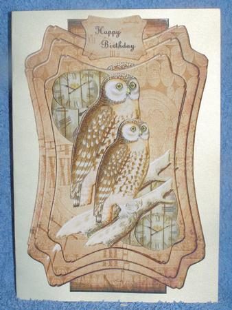 Layered Male Card Topper Owls by Susan Smith