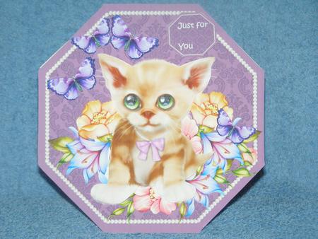 Octagon Adorable Kitten by Susan Smith
