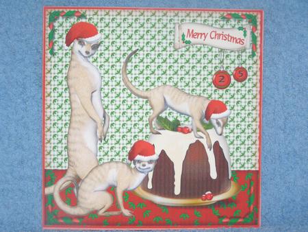 Meercat Christmas Pudding 8x8 by Susan Smith
