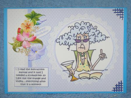 Stella Follows the Instruction Manual Quick Card by Susan Smith