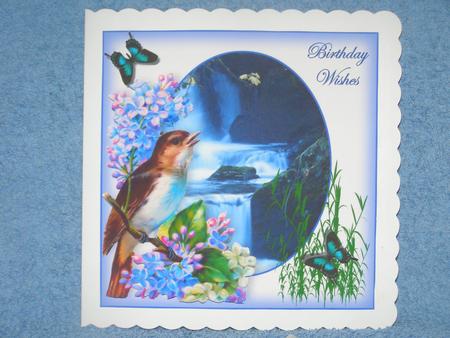 Bird Flowers and Waterfall by Susan Smith