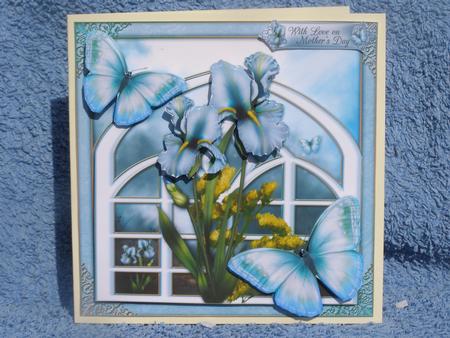Iris & Trellis Mini Kit by Susan Smith