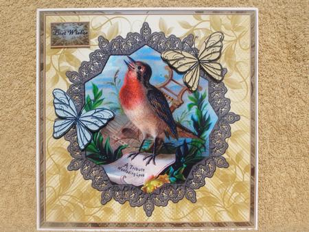 Male Card Vintage Bird by Susan Smith