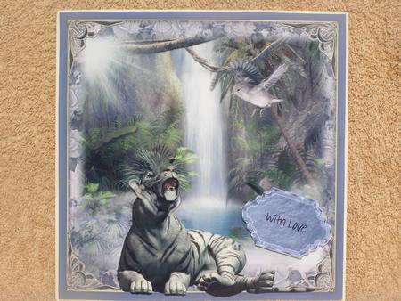 The Tiger and the Little Bird by Susan Smith