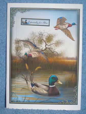 Serenity by Susan Smith