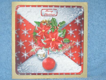 Snow for Christmas Mock Wrap Card Front by Susan Smith