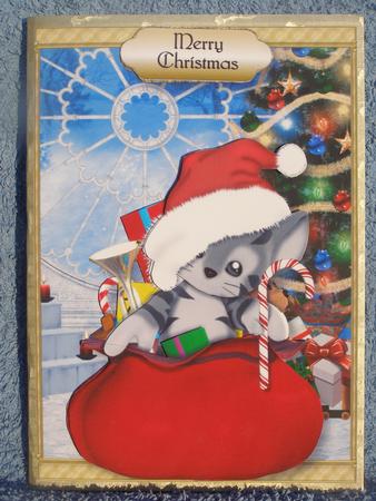 Cute Kitten in Santa's Sack Mini Kit by Susan Smith