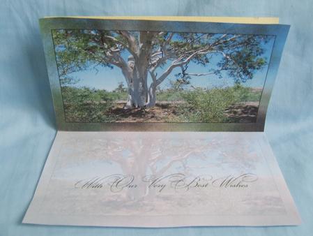 Dl Insert with Our Very Beat Wishes for Australian Bush by Susan Smith