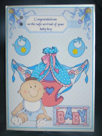 Your Baby Boy Has Arrived by Susan Smith