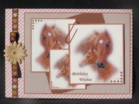 The Mare and Her Foal Birthday Wishes by Susan Smith