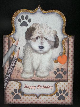 Puppy Love 2 Birthday Boy Over the Top by Susan Smith
