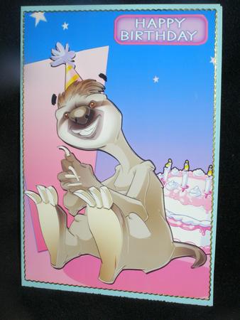 Sammy Sloths Birthday by Susan Smith