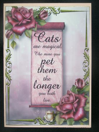 Gorgeous Purple Roses - Cats Are Magical -  by Susan Smith