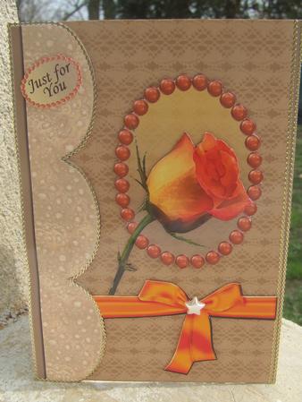 Sunset Rose by Susan Smith