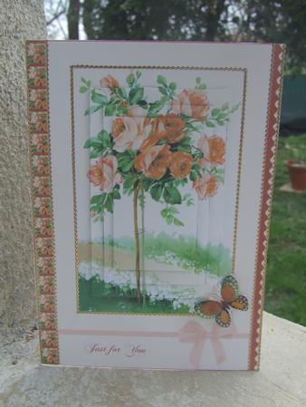 Peach Standard Rose by Susan Smith