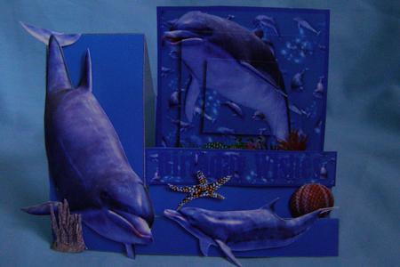 We All Love Dolphins Side Stepper card by Susan Smith
