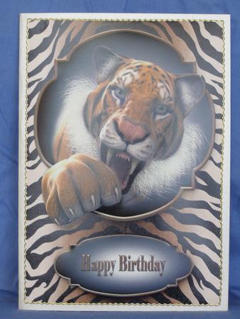 Tiger Birthday Grrreetings A5 Topper by Susan Smith