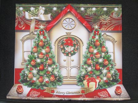 Festive Christmas House with Trees Card Kit by Susan Smith