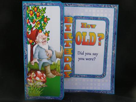 Fold Back Pop-up How Old? by Susan Smith